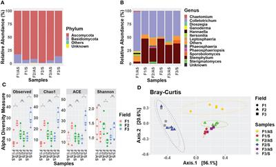 Metagenomic insight to apprehend the fungal communities associated with leaf blight of Welsh onion in Taiwan